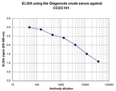 ELISA: CCDC101 Antibody [NBP3-18637]